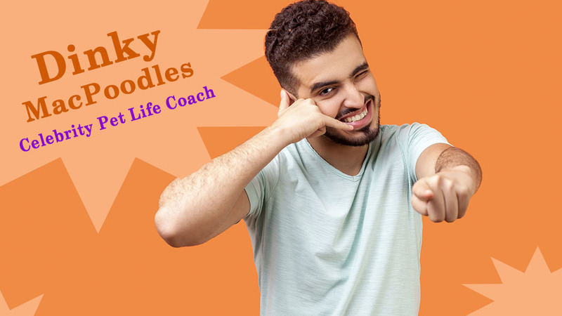 Dinky MacPoodles - Celebrity Pet Life Coach